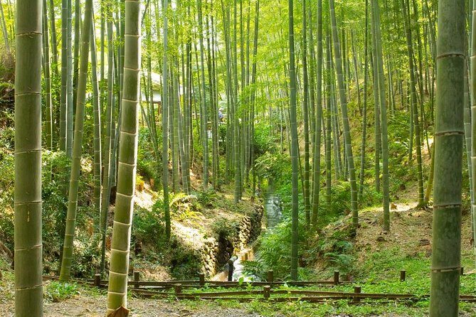 Kyoto Highlights: Arashiyama & Fushimi Inari by Private Car - Gion Quick Stop: Photo Time Without Taking Over Your Day