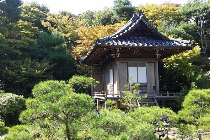 Kyoto Highlights: Arashiyama & Fushimi Inari by Private Car - Price and What You’re Really Paying For