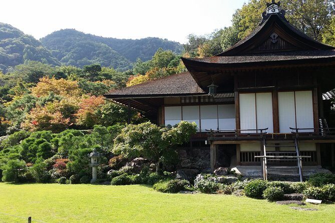 Kyoto Highlights: Arashiyama & Fushimi Inari by Private Car - Timing Tips: Heat, Crowds, and Sensible Walking