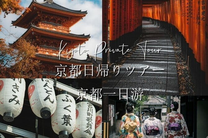 Kyoto Highlights Private Tour with Pick and Drop - Sanjusangendo and Ginkaku-ji: two different types of calm