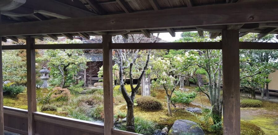 Kyoto: Immersive Arashiyama & Fushimi Inari by Private Car - Price and value: why $236 per person can make sense