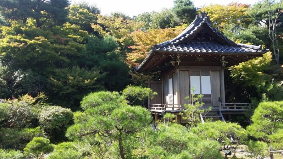 Kyoto: Immersive Arashiyama & Fushimi Inari by Private Car - How private transport makes Kyoto feel easier