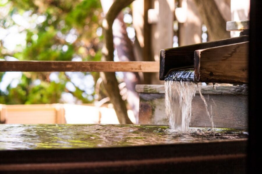 Kyoto: Immersive Arashiyama & Fushimi Inari by Private Car - Arashiyama on foot: bamboo time plus real temple context