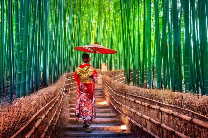 Kyoto & Nara Private Day Tour - Stop 1: Fushimi Inari-taisha and the Torii Gate Walk