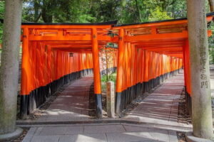 Kyoto & Nara & Uji: Full Day Sightseeing Tour from Osaka or Kyoto - Getting there from Osaka or Kyoto: bus comfort, big-group reality