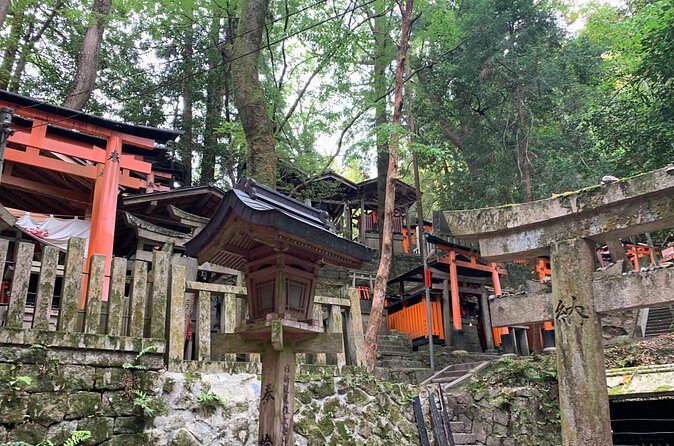 Kyoto private tour (Shore excursion available from Osaka or Kobe port) - Kinkakuji Temple: the Golden Pavilion moment (and how to enjoy it)
