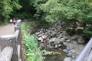 Minoh Waterfall and nature walk through the Minoh Park - Price and What the $138.37 Actually Buys You