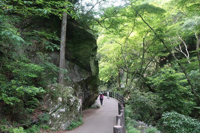 Minoh Waterfall and nature walk through the Minoh Park - Ryuanji Temple Stop: Mountain-Worship Buddhism on the Route