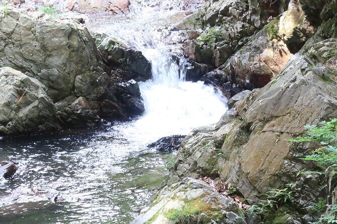 Minoh Waterfall and nature walk through the Minoh Park - Minoo Park Walk: Paved Paths, Hot-Spring Vibes, and Monkey Chances