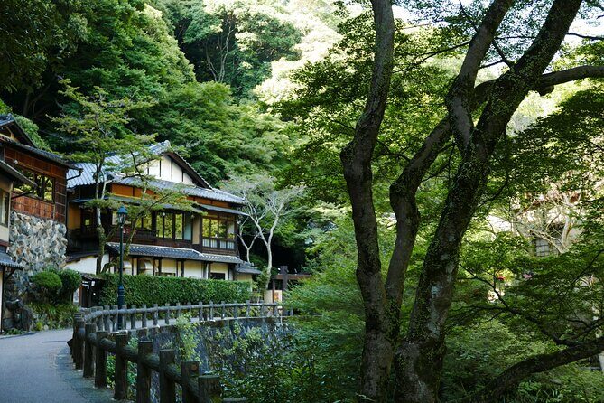 Minoh Waterfall and nature walk through the Minoh Park - The Minoh Waterfall Moment: 33 Meters, Cool Air, and a Real Reset