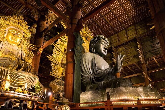 Nara 8hr Private Tour - Osaka DEP. with Licensed Guide - Key things to know before you go