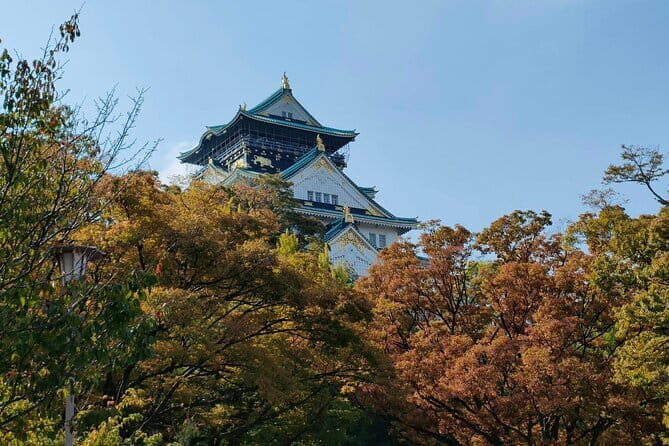 Nara Deer Park, Uji Matcha, & Hot Spring Full-Day Tour from Osaka - Kasuga Taisha Lanterns and the Nara Atmosphere You Can Feel