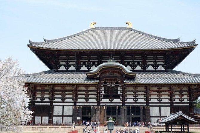 Nara Private Tour by Public Transportation from Osaka - Why riding public transportation to Nara can be the smart choice