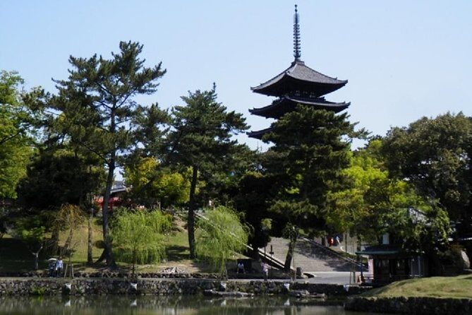 Nara Private Tour by Public Transportation from Osaka - Pricing and value: is $175.58 a fair deal for a 7-hour private day?