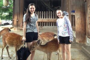 Nara private tour (Shore excursion available from Osaka or Kobe port) - Meeting your guide at Osaka or Kobe port (and why it matters)