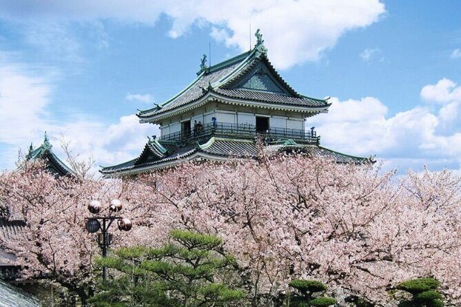 Nara, Todaiji Temple & Kuroshio Market Day BUS Tour from Osaka - Nara’s deer time: the photo moment needs a little strategy