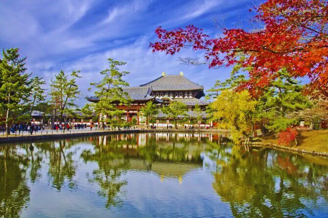 Nara, Todaiji Temple & Kuroshio Market Day BUS Tour from Osaka - Kuroshio Market tuna country: where the seafood part really shines