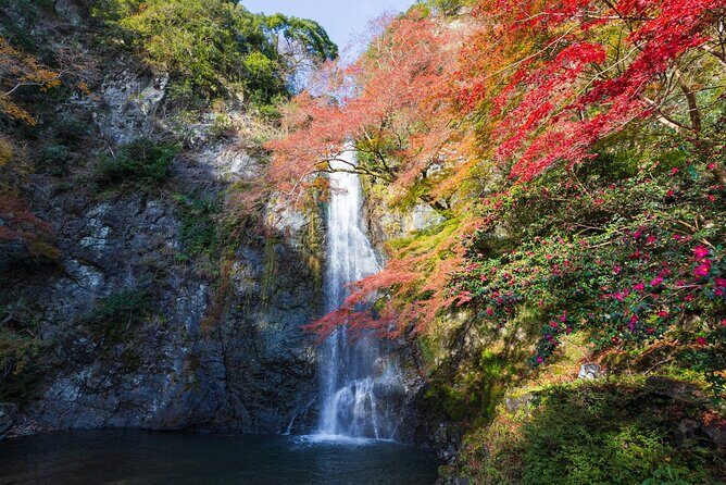 Nature Walk at Minoo Park, the Best Nature and Waterfall in Osaka - From Osaka to Real Nature Without Getting Lost
