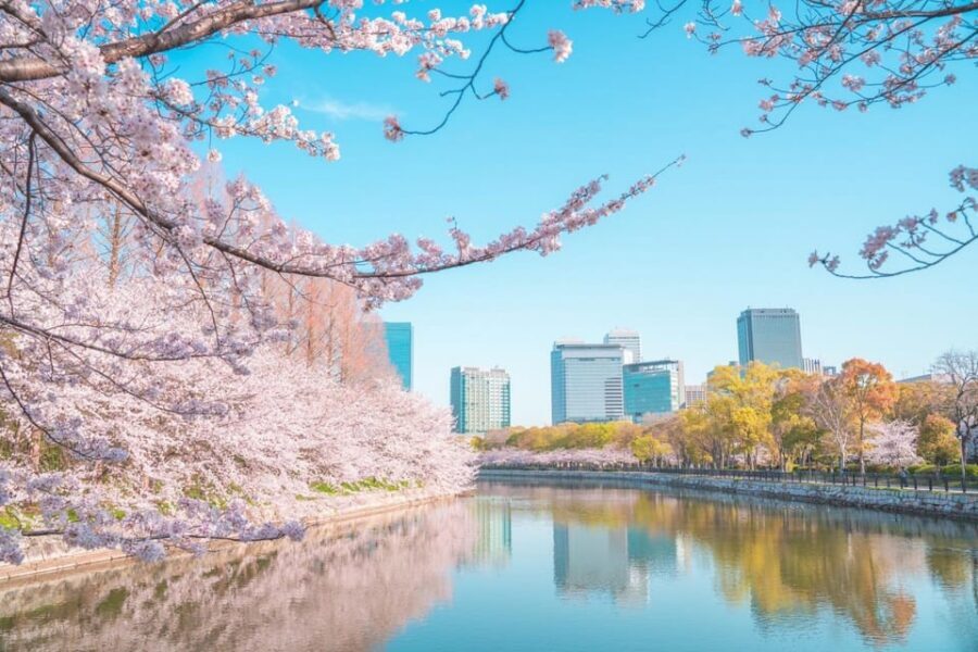 Osaka: 1-Day Private Customizable Trip by Car - Key things that make this Osaka car day worth it