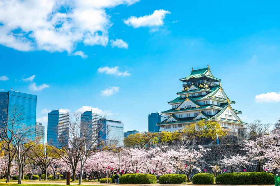Osaka: 1-Day Private Customizable Trip by Car - Why a private car turns Osaka into a day trip you can actually enjoy
