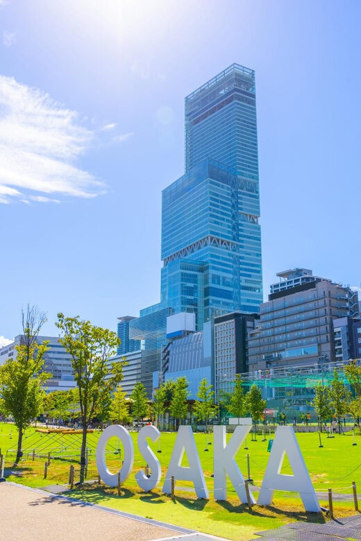 Osaka: 1-Day Private Customizable Trip by Car - Price and value: what you’re really paying for