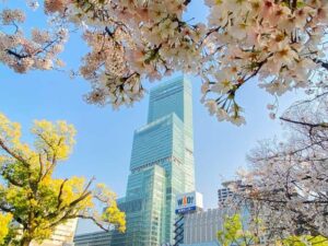 Osaka: Abeno Harukas 300 Observatory E-Ticket - The Glass-Roof Elevator and the 60th-Floor Observatory Deck