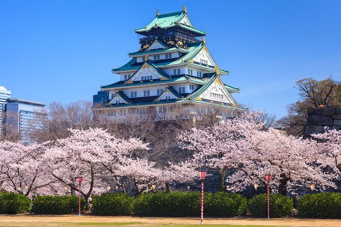 Osaka and Kansai Private Customized Day Tour - Kyoto classics you can aim for in one day