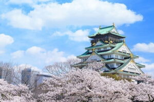 Osaka and Nara Attractive One Day private Tour - Pickup at Osaka Station: how the logistics affect your day