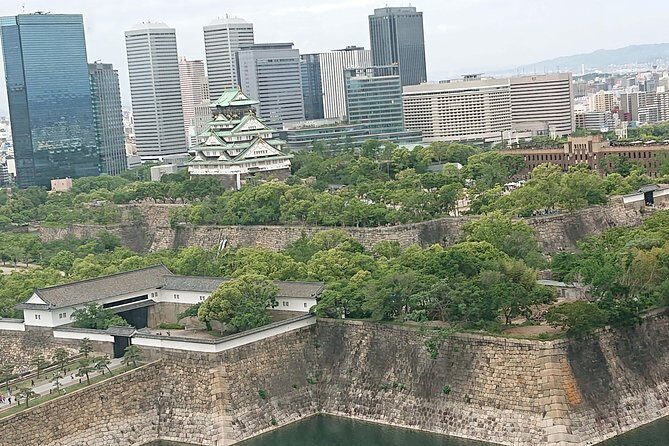 Osaka Castle & Dotonbori Lively One-Day Walking Tour - Key Points You’ll Care About