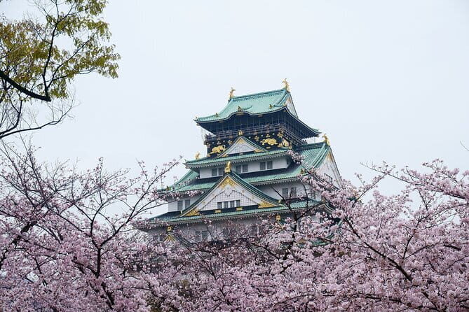 Osaka Castle & Samurai History Walking Tour - Key things I’d note before you go