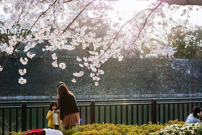 Osaka Castle & Samurai History Walking Tour - Price and what you actually pay: $22 plus the castle ticket