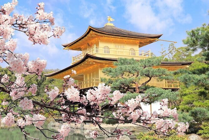 Osaka Castle & Samurai History Walking Tour - Meeting at Ōsakajōkōen Station: how to avoid the usual map confusion