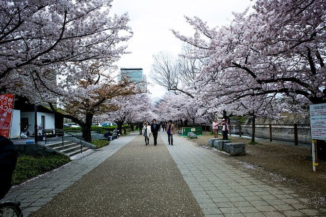 Osaka Castle & Samurai History Walking Tour - Stop 1: Osaka Castle Main Tower and the stairs-and-views reality