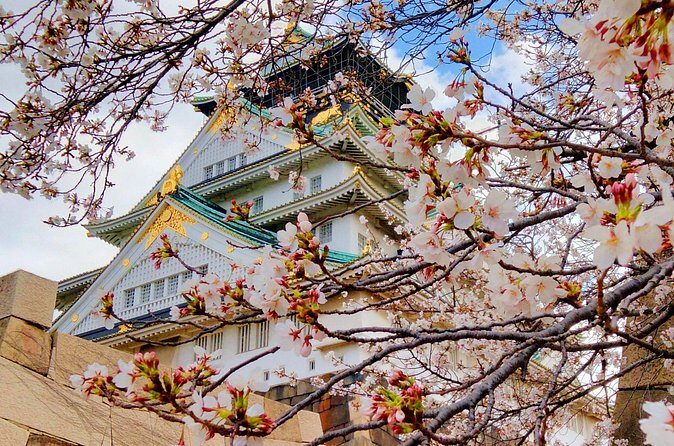 Osaka Castle & Temple Walking Tour with Multilingual Audio Guide - Audio guide and QR codes: how to use it without wasting time