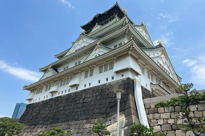 Osaka Castle Walking Tour and Castle Tower Admission - Hokoku Shrine / Toyokuni Shrine stop: Hideyoshi in plain context
