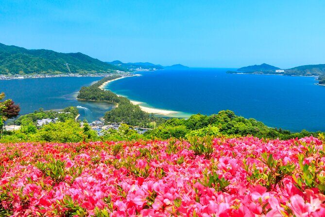 Osaka Day Tour: Amanohashidate & Ine Bay - Key things I’d circle on your map
