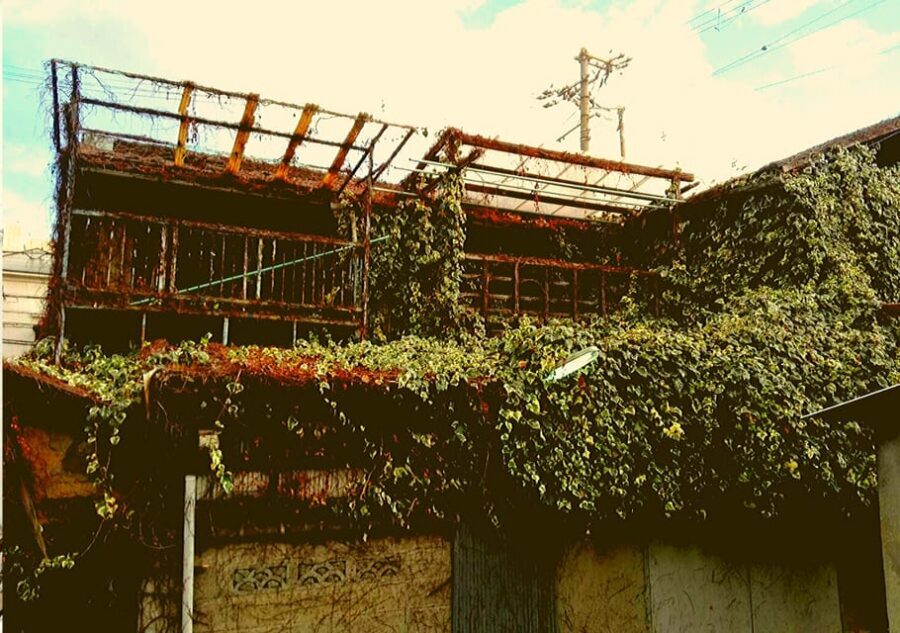 Osaka: Deep Backstreets Walking Tour with Dinner Option - The Abandoned Buildings Zone: A Gritty Stop With Context