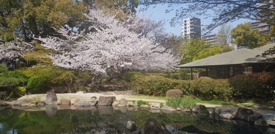 Osaka: Full-Day Sightseeing Tour by Private Vehicle - Abeno Harukas 300: sky views and a food-focused marketplace below