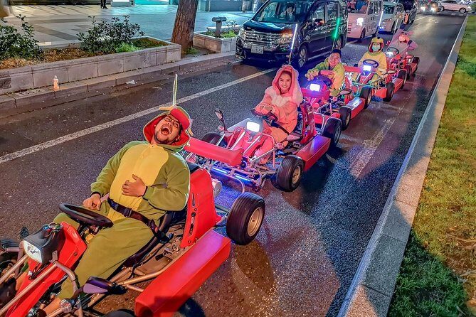 Osaka Go Karting Tour with Funny Costume - Licenses and Limits: The Stuff That Can Ruin Your Day
