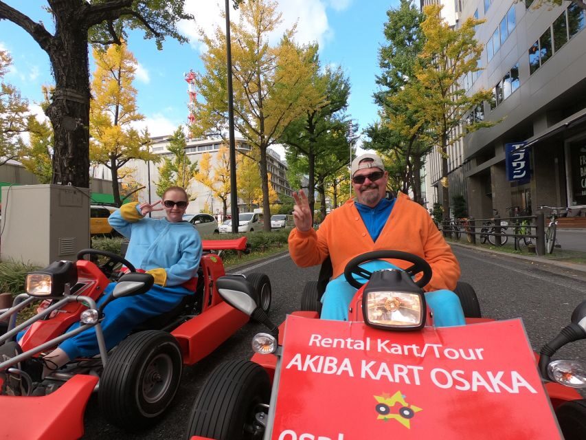 Osaka: Guided Go Karting Tour in a Funny Costume - America-mura and Namba: getting your bearings fast