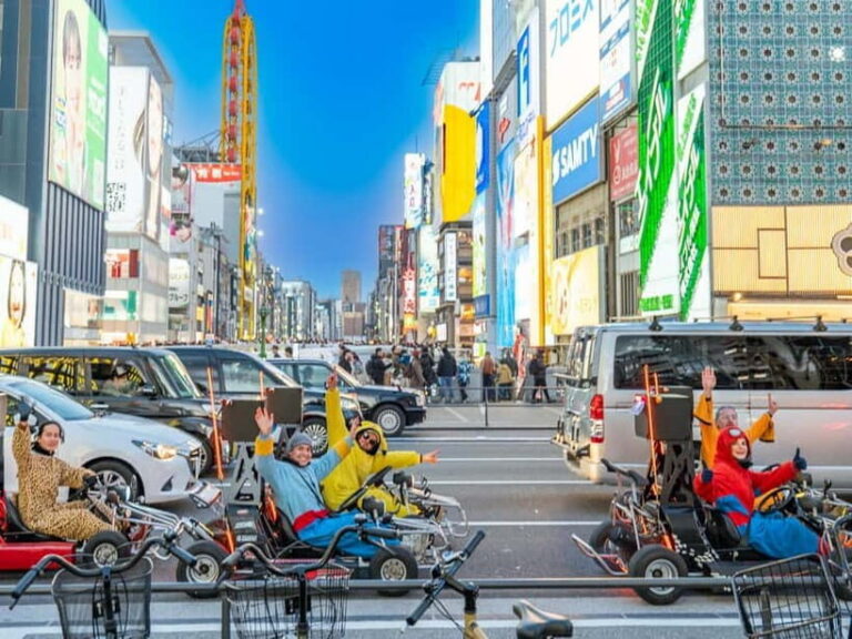 Osaka: Guided Go Karting Tour in a Funny Costume - What the costume and photos actually add to your trip
