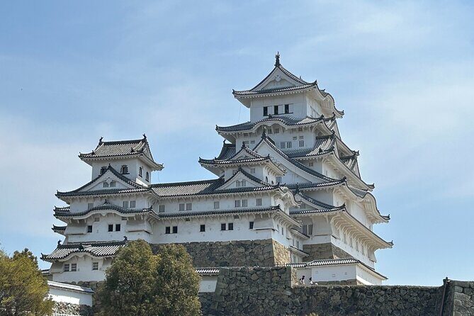 Osaka-Himeji Customize Tour with Pickup and DropOff - Key things I’d plan around before you go