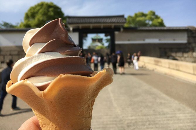 Osaka in a Nutshell: Three hour bike tour - Osaka Castle: greenery, photos, and the quick history hit