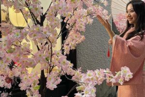 Osaka Kimono Experience – Quick Traditional Dress & Photos - Key highlights to know before you go