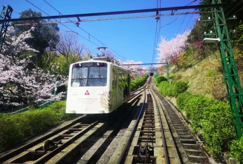 Osaka/Kyoto: Amanohashidate & Miyama Tour with Boat & Lunch - Practical tips to make the day smoother