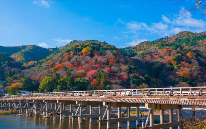 Osaka: Kyoto and Nara Private Day Trip - Private Driver Details: Musa, Nomi Nomi, and What Makes It Work