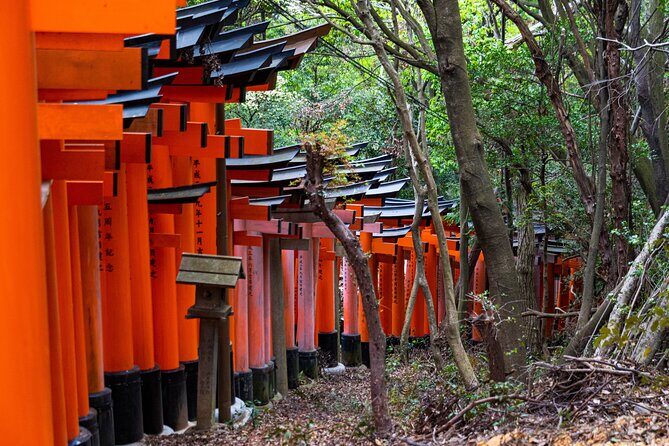 Osaka/Kyoto: Arashiyama, Fushimi Inari & Nara Park Day Trip - Price and Value: Why $57 Can Work (If You Want a Packed Day)