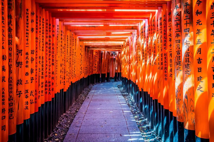 Osaka/Kyoto: Arashiyama, Nara Park, Fushimi Shrine Tour - Key Things You’ll Actually Notice