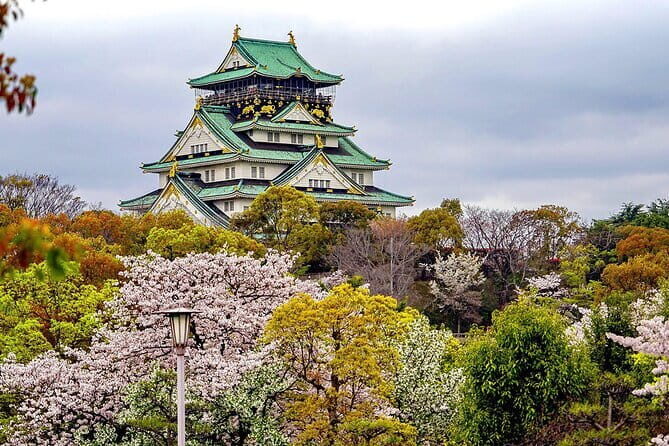 Osaka & Kyoto & Nara Top Hightlights English Speaking Tour - Nara Park’s Deer Moment and Todai-ji’s Great Buddha