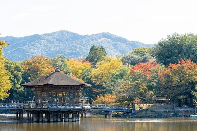 Osaka & Kyoto & Nara Top Hightlights English Speaking Tour - Who This Tour Fits Best (And Who Should Skip It)